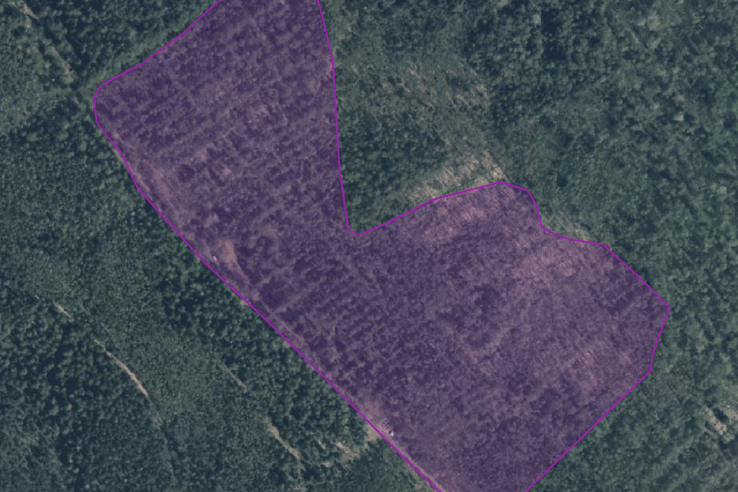 Извещение о начале выполнения комплексных кадастровых работ местного значения в Ларионовском сельском поселении Приозерского муниципального района