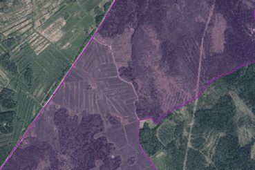 Извещение о начале выполнения комплексных кадастровых работ местного значения в Ларионовском сельском поселении Приозерского муниципального района