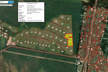Извещение о проведении торгов по продаже земельного участка в Лужском районе