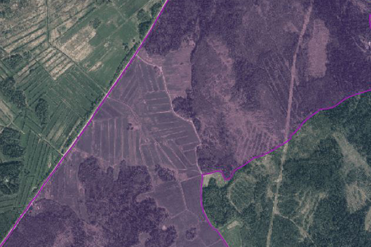 Извещение о начале выполнения комплексных кадастровых работ местного значения в Ларионовском сельском поселении Приозерского муниципального района