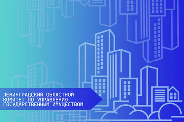 Распоряжение об условиях приватизации находящегося в государственной собственности Ленинградской области недвижимого имущества, расположенного по адресу: Ленинградская область, Бокситогорский район, деревня Большой Двор